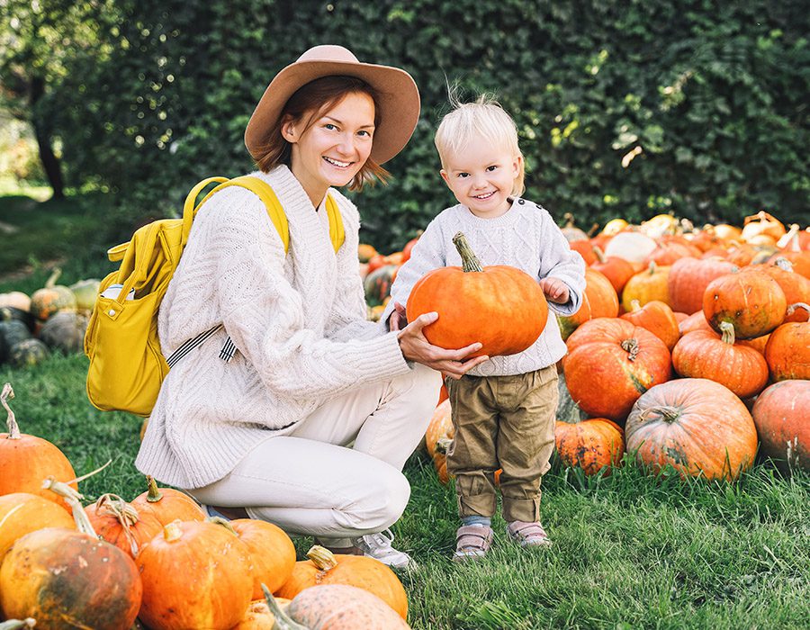 Fall Foods and Your Smile - SoBro Blog - Dental Health Tips and Resources